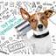 vetmedspanish.com