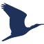 waldrapp.eu