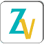 zasvision.com