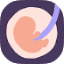 24baby.nl