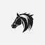 arizonaappaloosa.com
