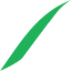 crieffhillslawncare.com