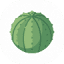 euphorbia.de