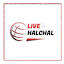 livehalchal.com