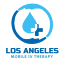 losangelesmobileiv.com