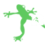 rockinjump.com