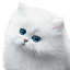 royale.ca