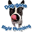 alldoggonerightplumbing.com