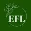 ecofriendlylink.com