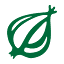onion.com