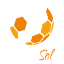 ranksol.com