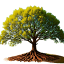 specialtytreecare.com