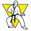 sstaekwondo.com
