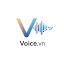 voice.vn