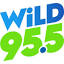wild955.com