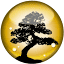 acbonsai.com