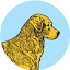 adoptagolden.org