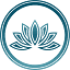 designforrecovery.com