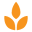 ohiofoodbanks.org