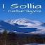 sollia.net