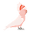 soukirathman.com