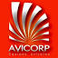 avi-corp.com