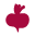 beetroot.se
