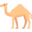 delhirajasthancartour.com