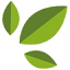 green-shop.ch