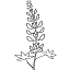 je51.com
