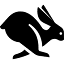 lepusproprietarytrading.com.au