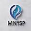 mnysp.com