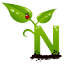 naturabacau.ro