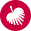 palmettocare.org