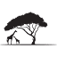 pudingsuite.com