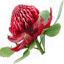 wyongvillageflorist.com.au