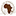 africanjungles.co.ke