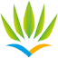 aircaraibes.com