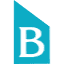 biruni.edu.tr