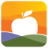 brafb.org