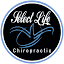 brainerdchiropractor.com