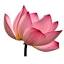 buddhaweekly.com