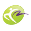 clarkssummitphysicaltherapists.com