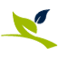 dekemp.nl
