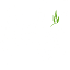 drevlev.ru