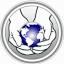globalchirotx.com