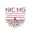 nic.mg