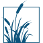 pacificabelleair.com
