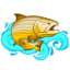 pescaeciashop.com.br
