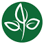 sarh.org